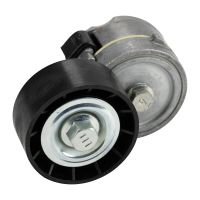 Poulie folle à courroie plate avec bras tendeur