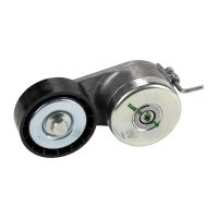 Poulie de renvoi pour courroie plate avec bras tendeur DAYCO