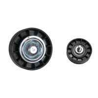 Poulie à courroie plate avec climatisation DAYCO