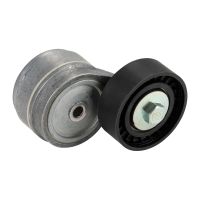 Poulie de renvoi pour courroie plate avec bras tendeur DAYCO