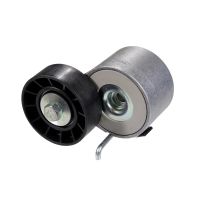 Poulie pour courroie plate avec bras tendeur DAYCO