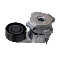 Poulie folle à courroie plate avec bras tendeur