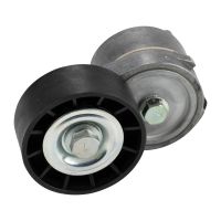 Poulie de renvoi pour courroie plate avec bras tendeur DAYCO