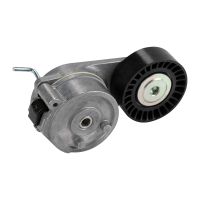 Poulie folle à courroie plate avec bras tendeur