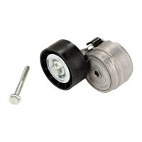 Poulie de renvoi pour courroie plate avec bras tendeur DAYCO