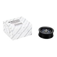 Poulie de renvoi pour courroie plate D=70 B26 6 nervures