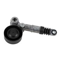 Poulie folle à courroie plate avec bras tendeur