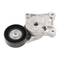 Poulie à courroie plate avec bras tendeur