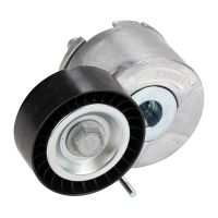 Galet tendeur Courroie striée NTN-SNR