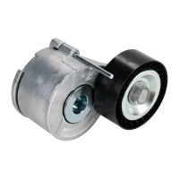 Poulie tendeur Courroie trapézoïdale striée DAYCO