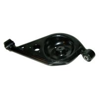 Bras oscillant arrière gauche avec plaque à ressort