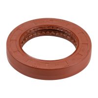 Entrée essieu arrière Wedi