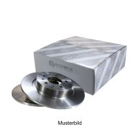 Disque de frein arrière 276 Ø 10 mm 5 trous