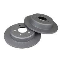 Disque de frein arrière complet