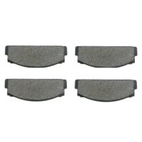 Plaquettes de frein arrière