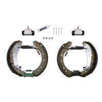 Kit mâchoires de frein arrière prémontées 254Ø