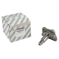 Articulation avant gauche