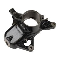 Fusée de direction gauche Iveco OE 5802417987