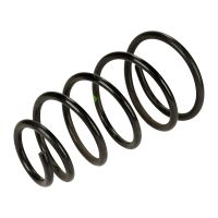 Fahrwerksfeder vorne