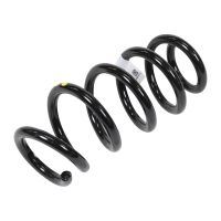 Spiralfeder hinten