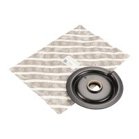 Plaque à ressort en haut pour roulements de jambe de suspension