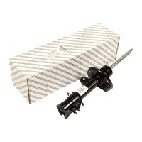 Amortisseur avant gauche