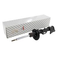 Amortisseur arrière