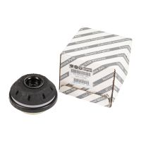 palier de jambe de force