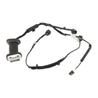 Kabelstrang vordere Tür links