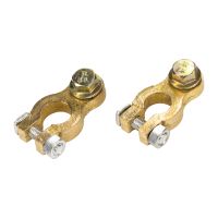 Borne de batterie pôle moins pôle plus M10 ensemble