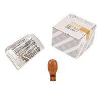 Cache clignotant gauche dans le rétroviseur pour clignotant 16 watts avec ampoule