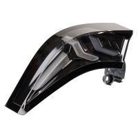 Feu arrière extérieur gauche