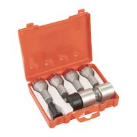 Diebstahlsicherungsschraubensatz