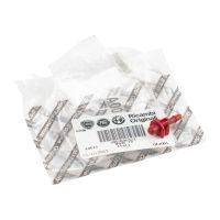 Gicleur de lave-glace