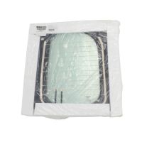 Lunette arrière colorée droite