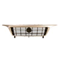 Grille de radiateur argent de Bj, 2014