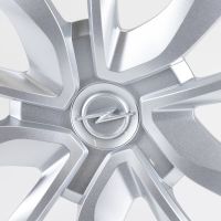 Enjoliveur 15 pouces