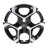 Enjoliveur de roue de 17 pouces