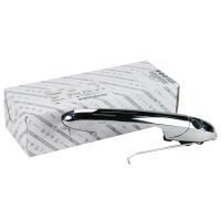 Poignée de porte chrome gauche sans cylindre