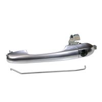 Poignée de porte avant gauche chromée