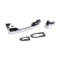 Poignée de porte chrome arrière gauche