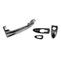 Poignée de porte chrome avant gauche