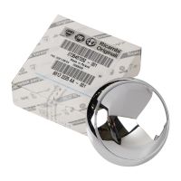 Poignée de porte à l'intérieur de la garniture chromée avant gauche