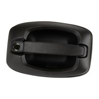 Poignée de porte arrière PSA OE 1650900980