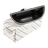 Poignée de porte avant gauche