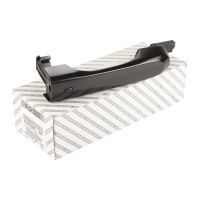 Türgriff vorne rechts