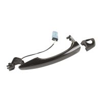 poignée de porte avant gauche