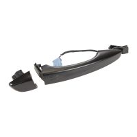 poignée de porte avant droite