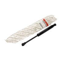 Vérin à gaz pour hayon 1 pièce