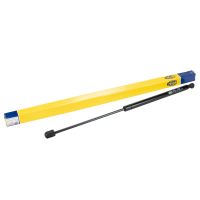 Vérin à gaz pour hayon 1 pièce Magneti Marelli
